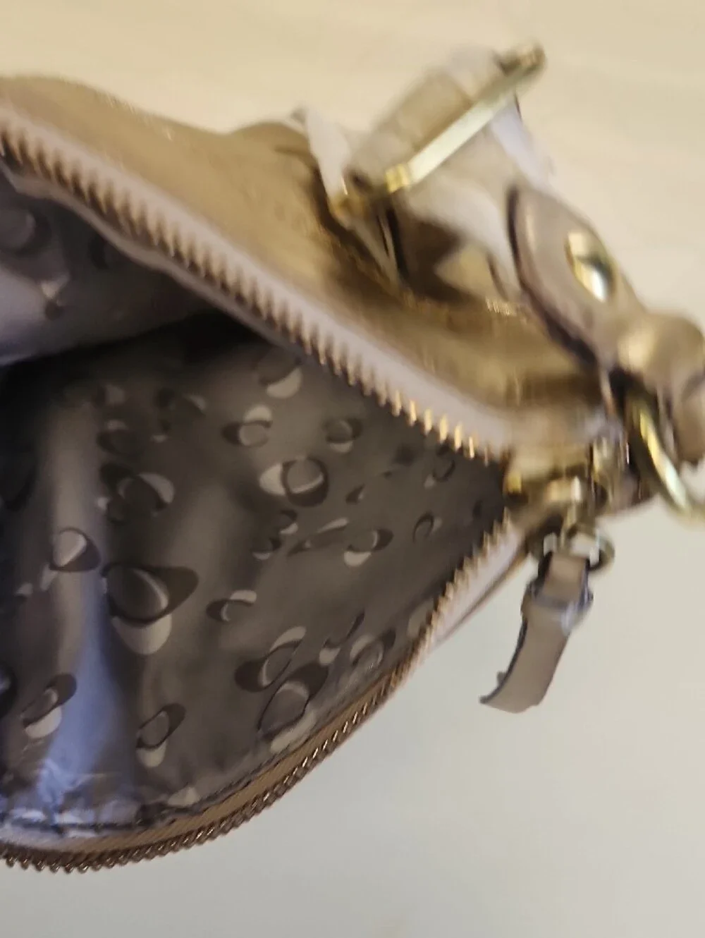 Coach Metallic Champagne Crossbody Bag